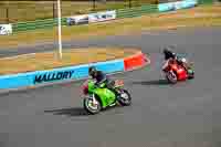 Vintage-motorcycle-club;eventdigitalimages;mallory-park;mallory-park-trackday-photographs;no-limits-trackdays;peter-wileman-photography;trackday-digital-images;trackday-photos;vmcc-festival-1000-bikes-photographs